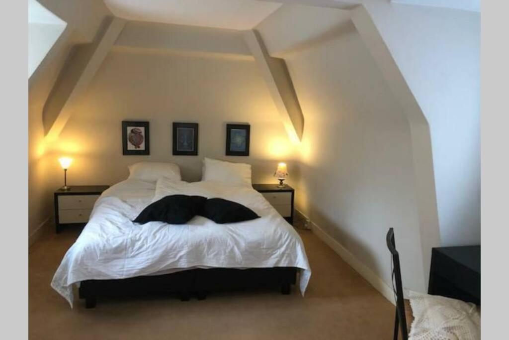 Vrijstaande Rietgedekte Villa Nabij Uitvalswegen Васенар Екстериор снимка